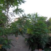  Sproing Pics (6/58)